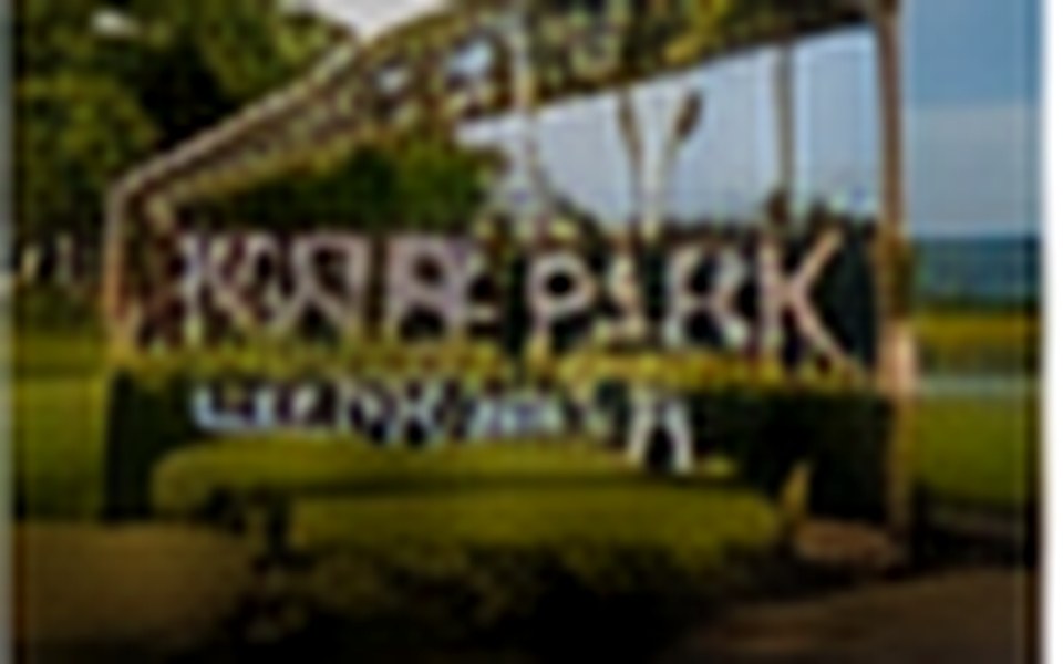 Peace Park